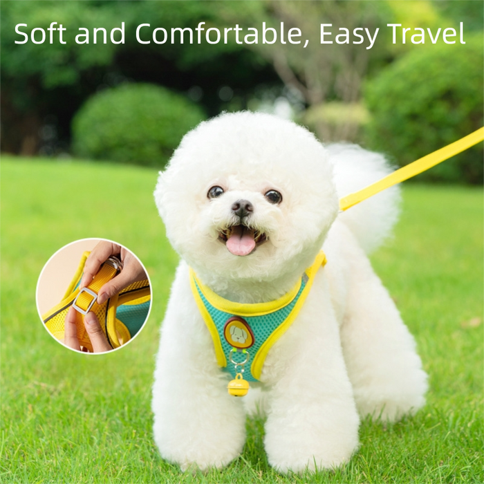 Harnais et laisse adorables pour petits chiens, gilet léger et doux pour chiots, maille respirante anti-traction.