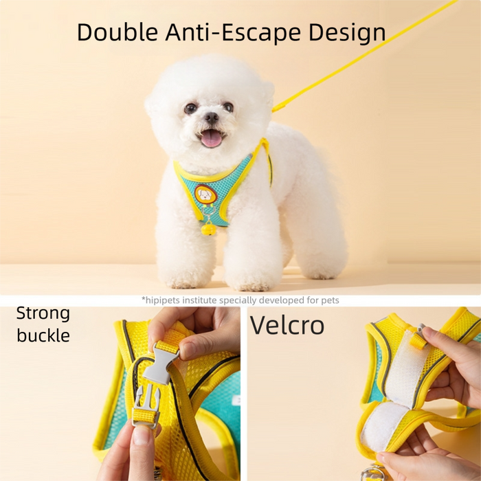 Harnais et laisse adorables pour petits chiens, gilet léger et doux pour chiots, maille respirante anti-traction.