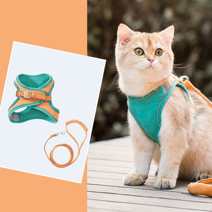 Harnais et laisse bicolores pour chat, gilet souple et ajustable anti-fugue