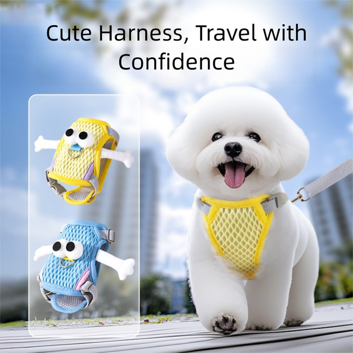 Harnais pour chien aux grands yeux mignons, anti-traction, ajustable et respirant, idéal pour les promenades.