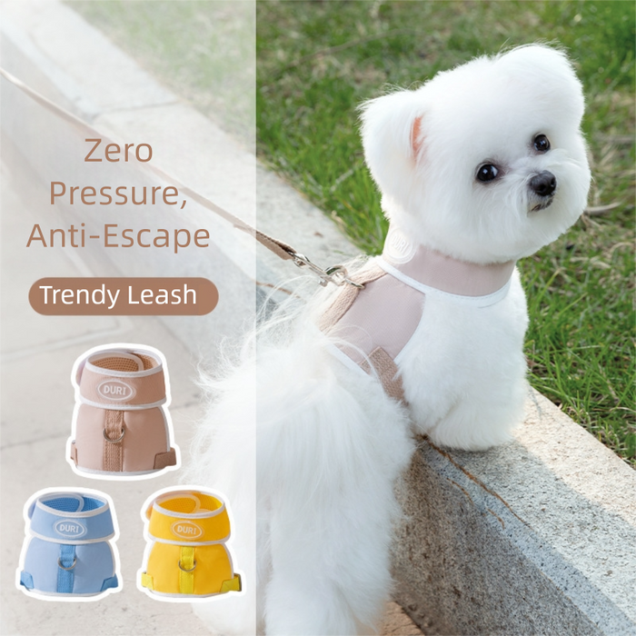 Harnais pour chiot avec laisse, harnais anti-traction pour petits chiens