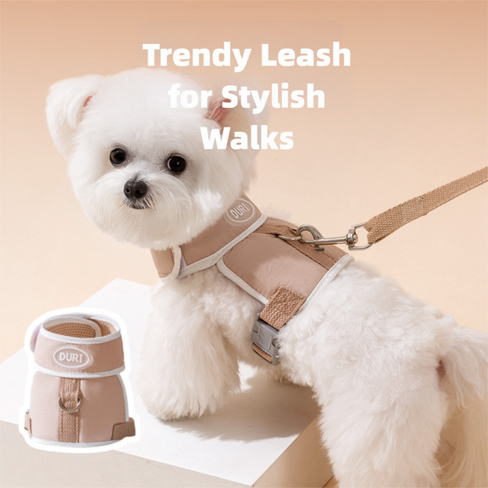 Harnais pour chiot avec laisse, harnais anti-traction pour petits chiens