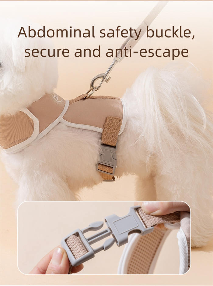 Harnais pour chiot avec laisse, harnais anti-traction pour petits chiens