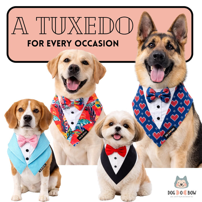 Hawaii Print Tuxedo Bandana