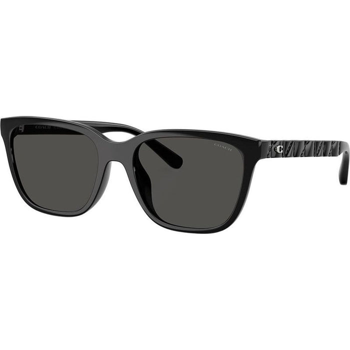 HC8429D, Black/Grey Lenses