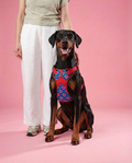 Hearty blue Double Padded Harness