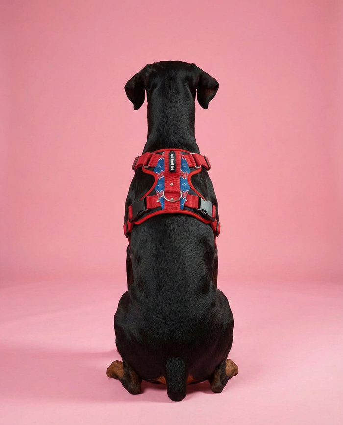 Hearty blue Double Padded Harness