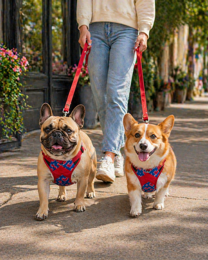 Hearty blue Double Padded Harness