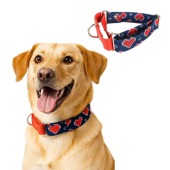 Hearty Blue print Martingale Collar (1.5 inch width)