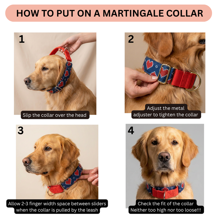 Hearty Blue print Martingale Collar (1.5 inch width)