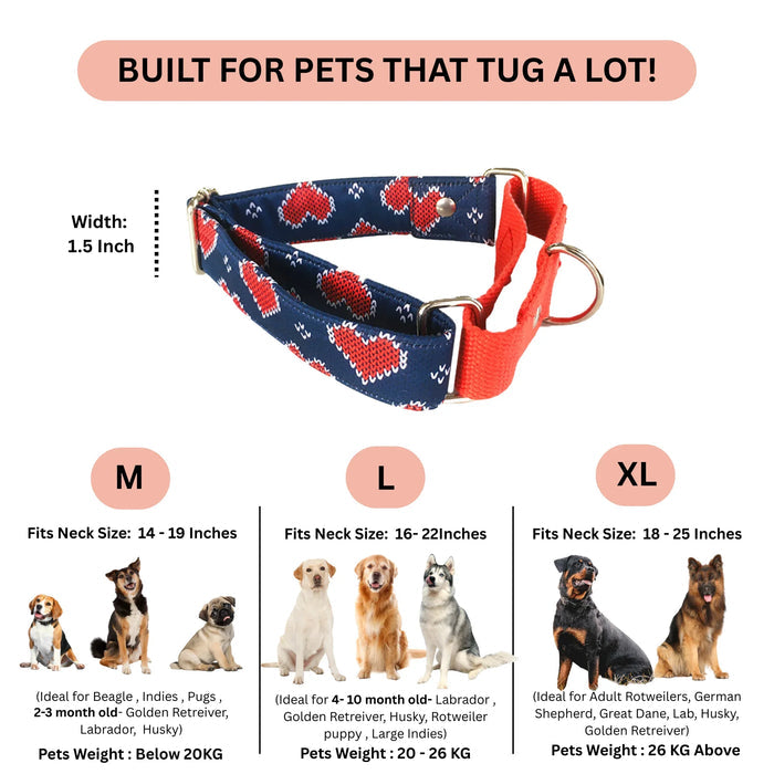 Hearty Blue print Martingale Collar (1.5 inch width)