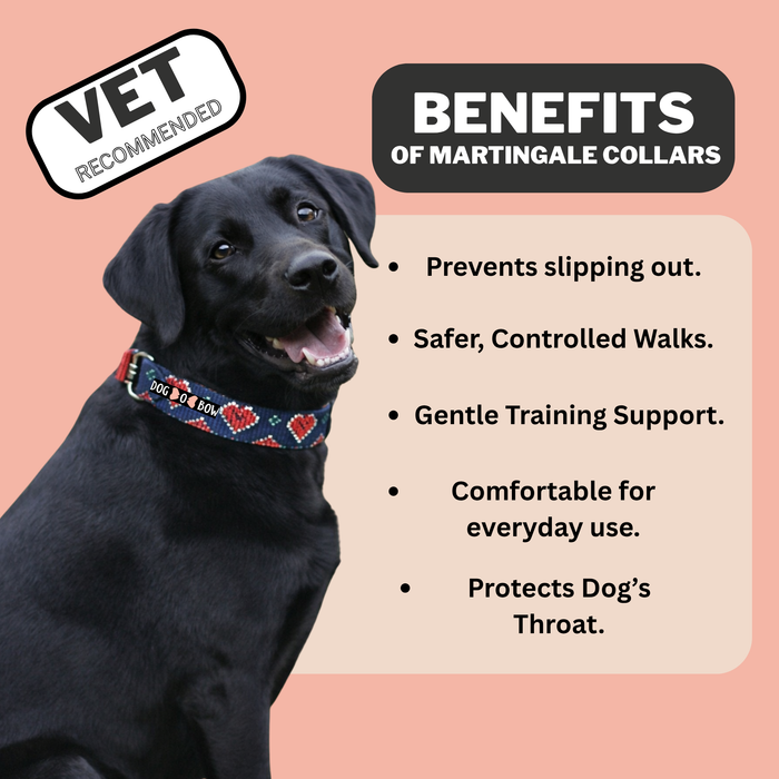 Hearty Blue print Martingale Collar (1.5 inch width)
