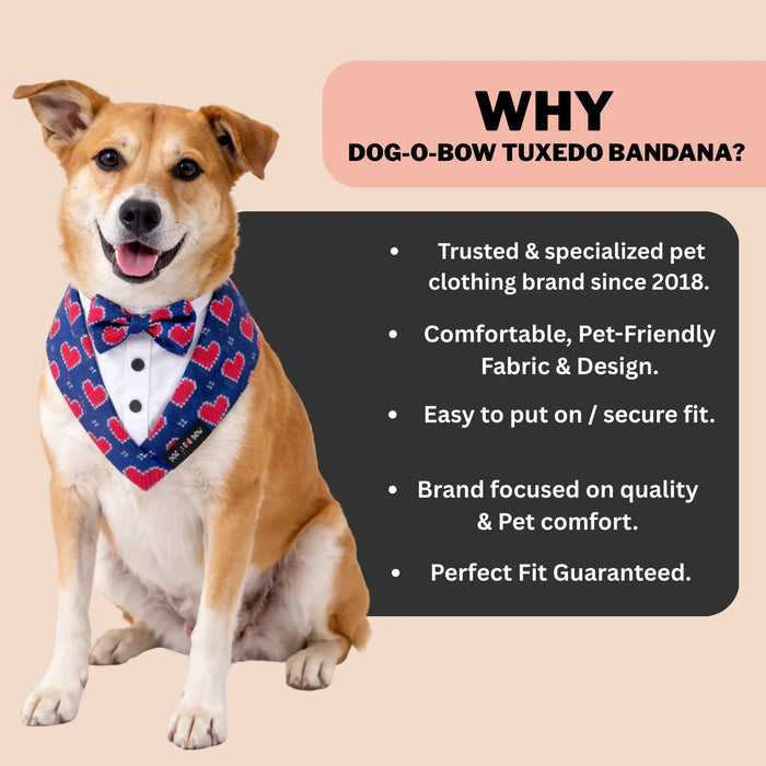 Hearty Blue Printed Tuxedo Bandana
