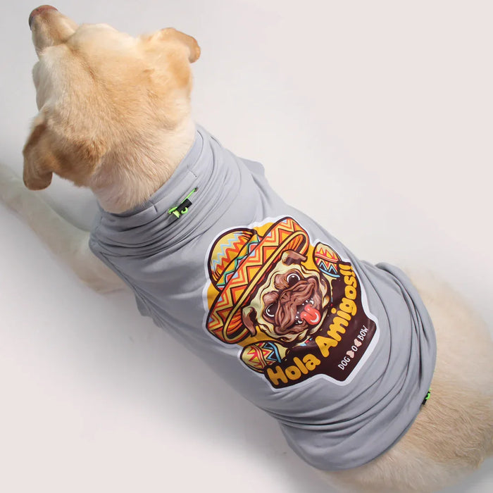 Hola Amigos T-shirt