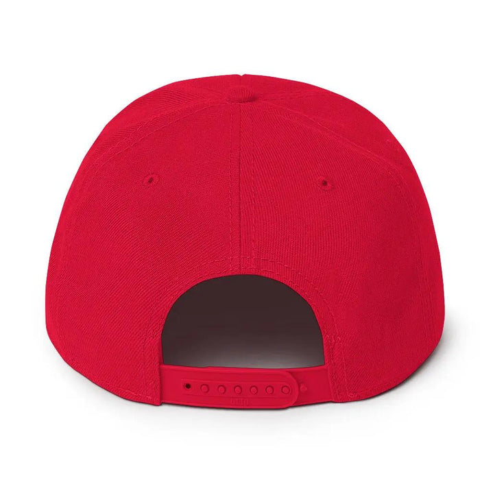 I Stand with Texas Snapback Hat - FloofChonk