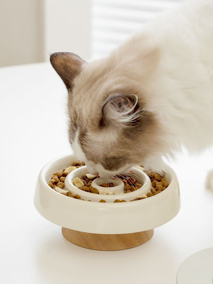 Interactive Slow Feeder Pet Bowl - FloofChonk