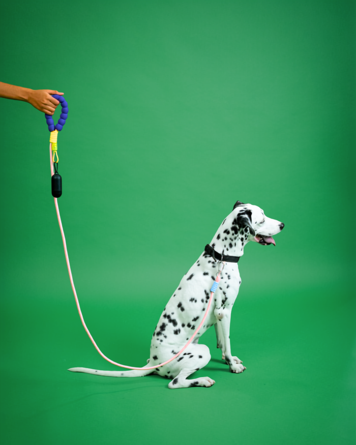 Jellybean Rope Leash