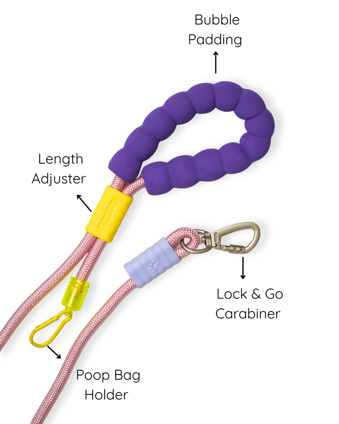Jellybean Rope Leash
