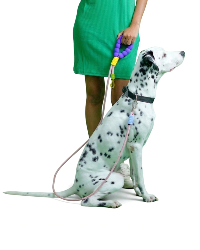 Jellybean Rope Leash