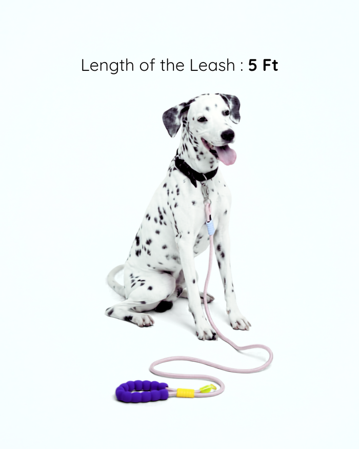 Jellybean Rope Leash