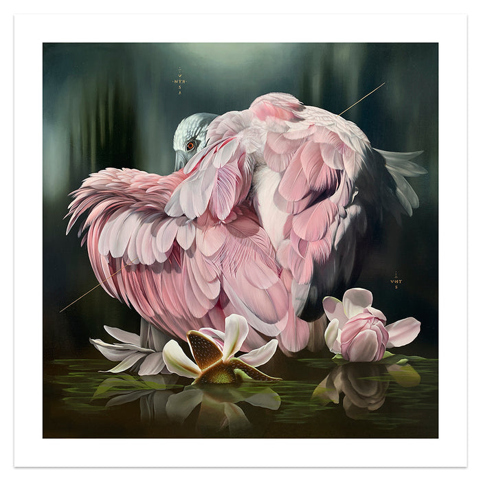 The evocative scene from Josie Morway’s "Watershed" print features a pink-feathered bird with arrows in its back resting near white flowers on a reflective water surface, set against a dark, blurred background with the phrase LOVE IS NEVER NOT VICTIM above. This artwork is expertly rendered as an archival pigment print and offered as a signed and numbered limited edition by Josie Morway.
