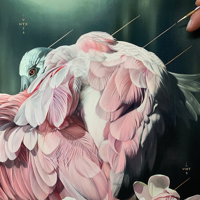 A detailed pink bird with layered feathers and a sharp eye is hand-painted, pierced by three golden needles. The dark background features small, faint letters in two corners. This striking artwork, titled "Watershed" by Josie Morway, is available as a signed and numbered archival pigment print in a limited edition.