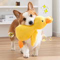 Jouet pour chien en forme de canard avec un son de coin-coin
