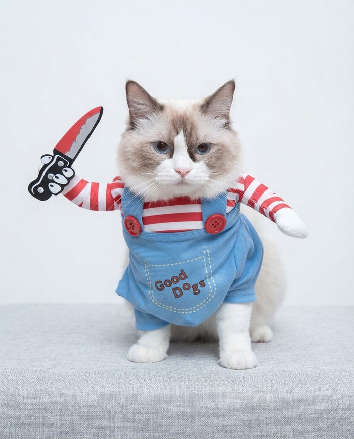 Cat wearing blue killer doll costume