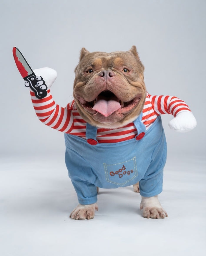 Large dog wearing blue killer doll costume