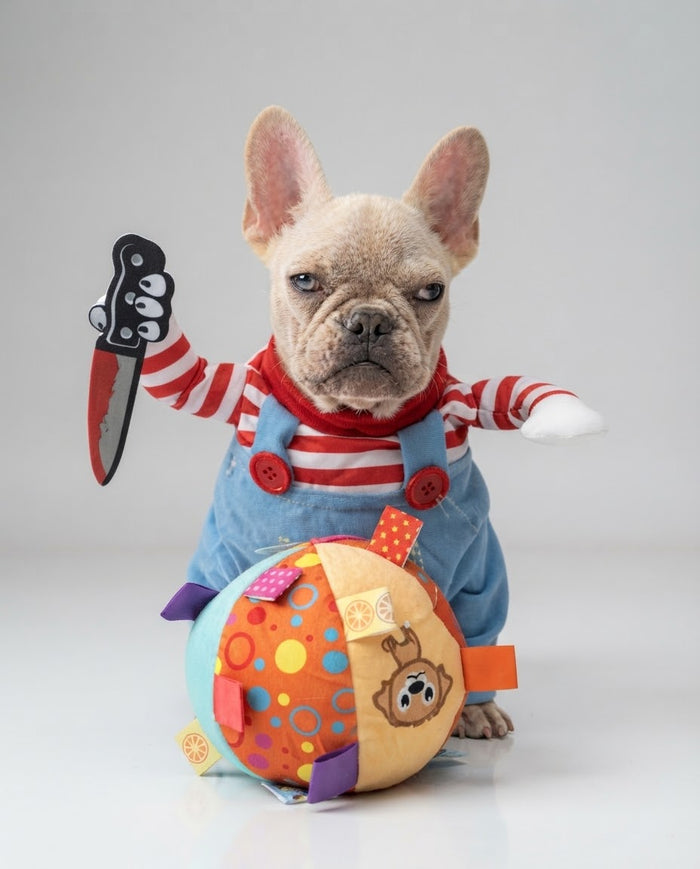 French Bulldog wearing blue killer doll costume