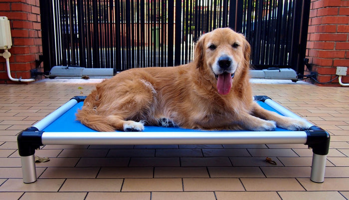Kuranda Dog Bed Heavy Duty