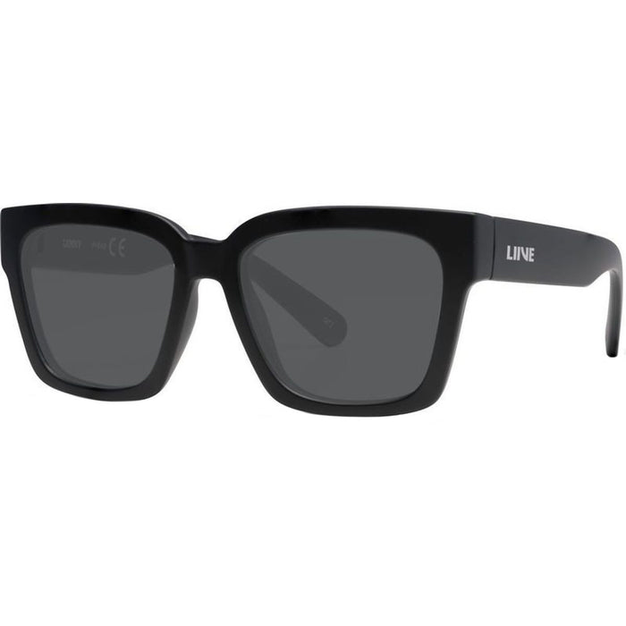 Lenny, Matte Black/Smoke Lenses