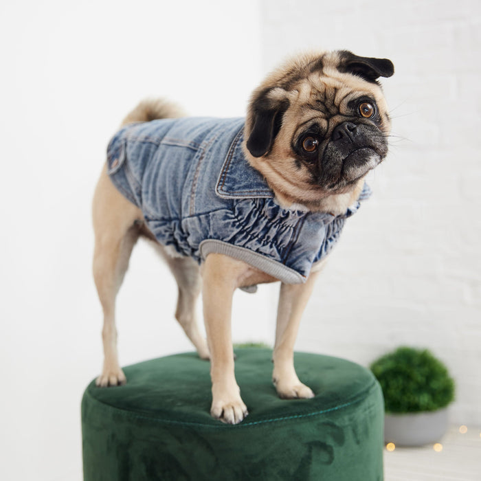Light Wash Denim Dog Jacket