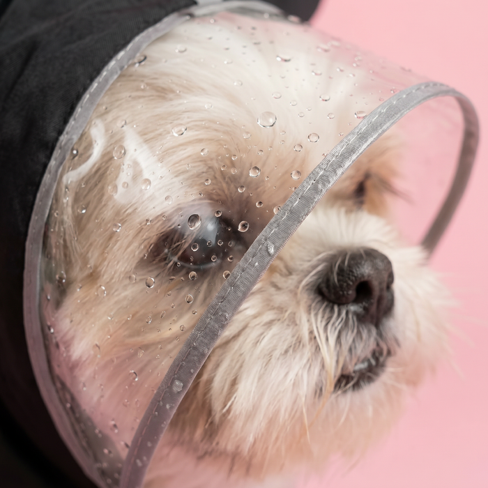 McToodles Raincoat