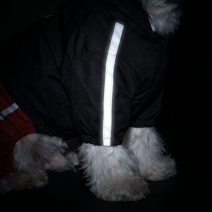 McToodles Raincoat