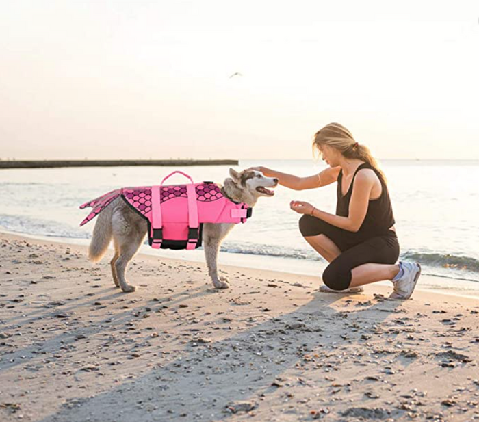 Mermaid Dog Life Jacket & Safety Swimsuit