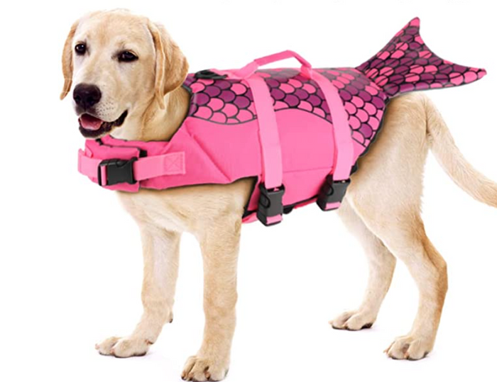 Mermaid Dog Life Jacket & Safety Swimsuit
