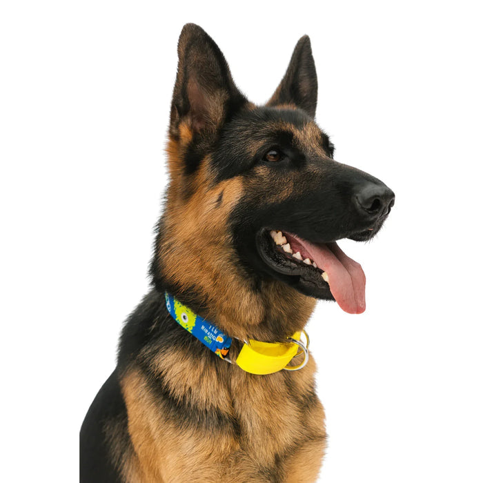 Monster Print Martingale Collar (1 inch width)