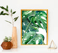 Monstera Philodendron Watercolor Painting - Botanical Nature Art Print Brazen Design Studio Sea Green