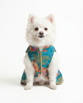 Mormukut Sherwani