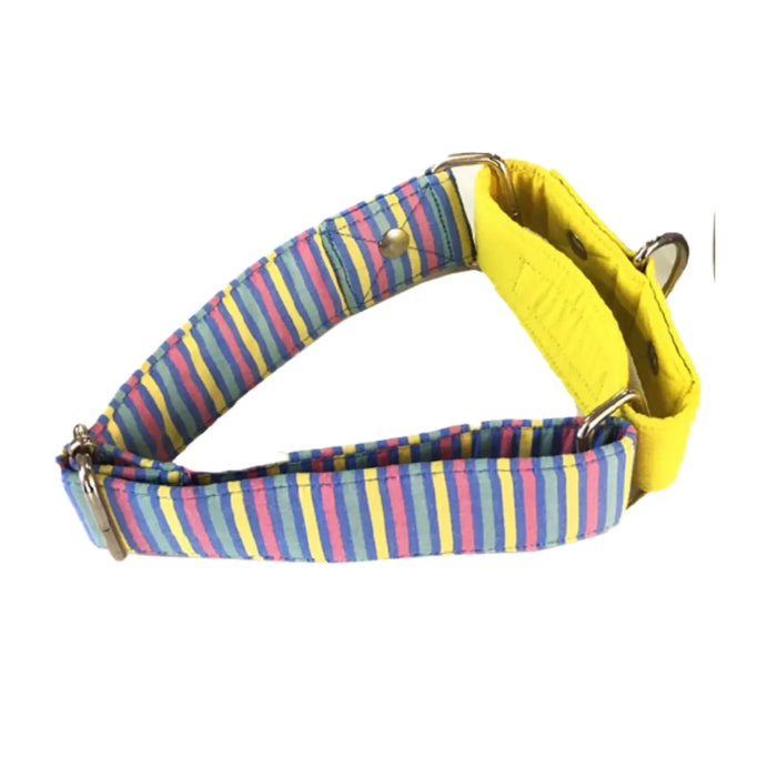 Multi-stripe martingale Leash combo