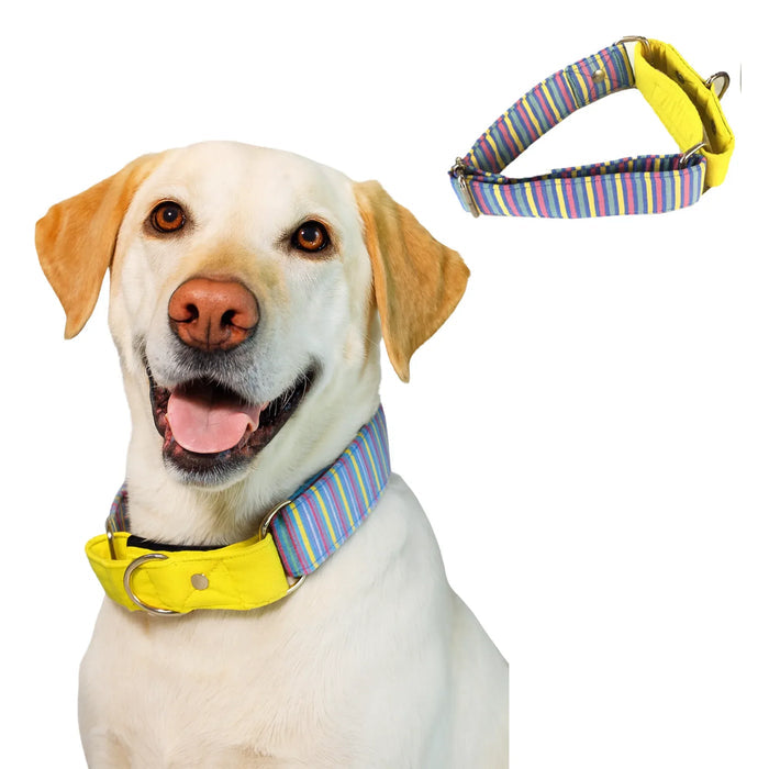 Multi-stripe martingale Leash combo