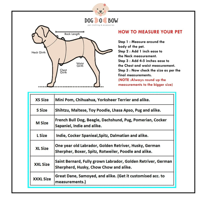 Nawabzadi Dress