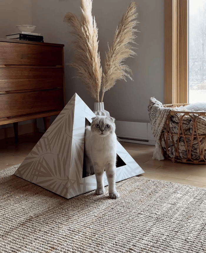 'Neutral Palm' Cardboard Cat Pyramid - FloofChonk