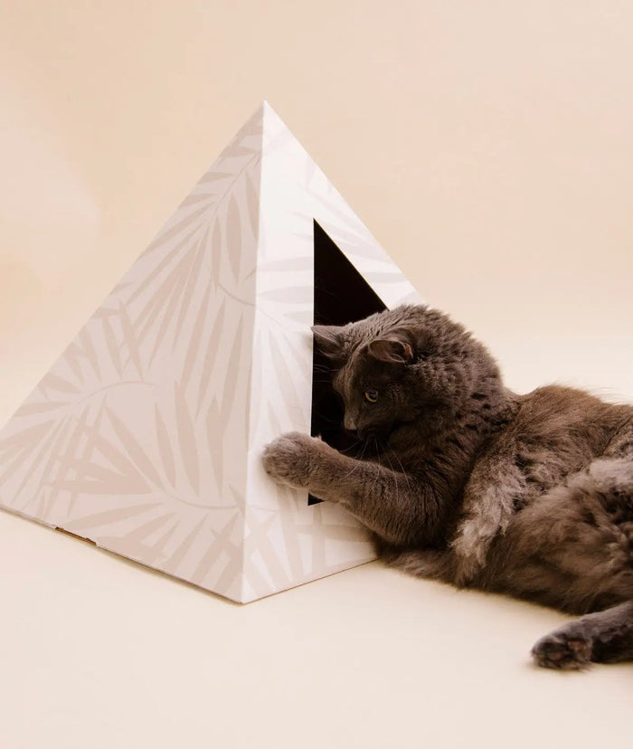 'Neutral Palm' Cardboard Cat Pyramid - FloofChonk