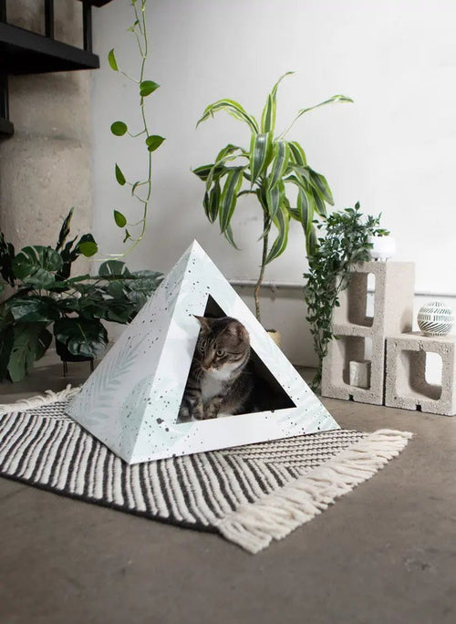 'Oasis' Cardboard Cat Pyramid - FloofChonk