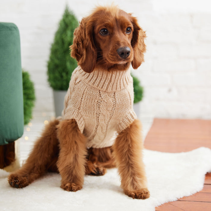Oatmeal Chalet Dog Sweater