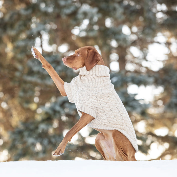 Oatmeal Chalet Dog Sweater