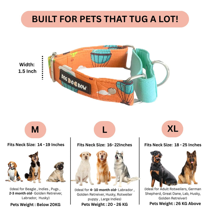 Orange Hot Air Balloon Martingale Collar (1.5 inch width)