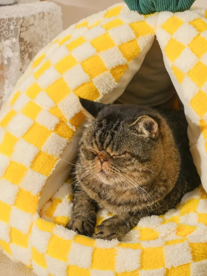 Pineapple Shaped Cozy Pet Nest - FloofChonk